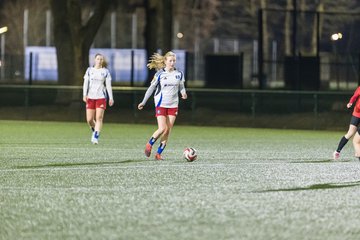 Bild 195 - wBJ Hamburger SV - Eimsbuettler TV 2 : Ergebnis: 16:0